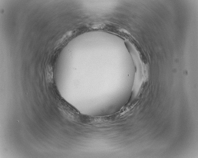 X0000070391443200607072207