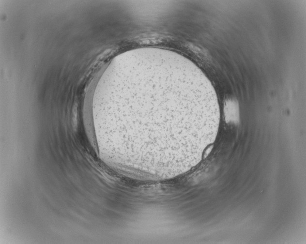 X0000070391444200607072207