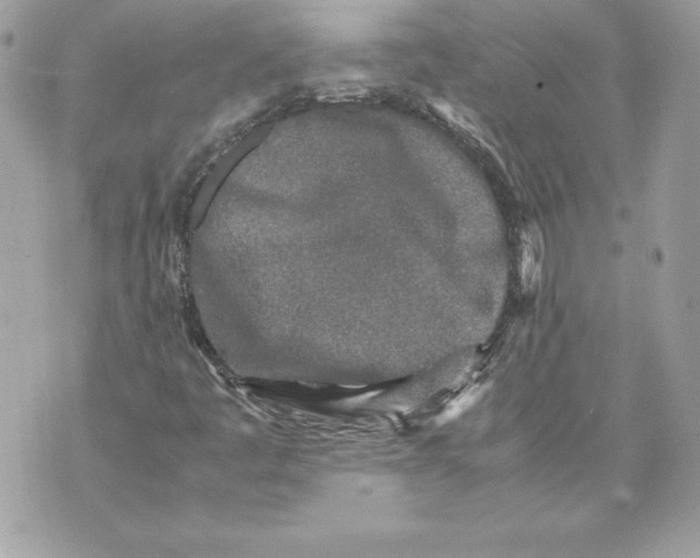 X0000070391445200607072207