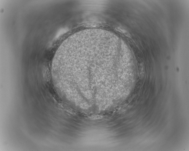 X0000070391446200607072207