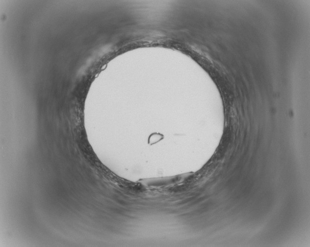 X0000070391447200607072207