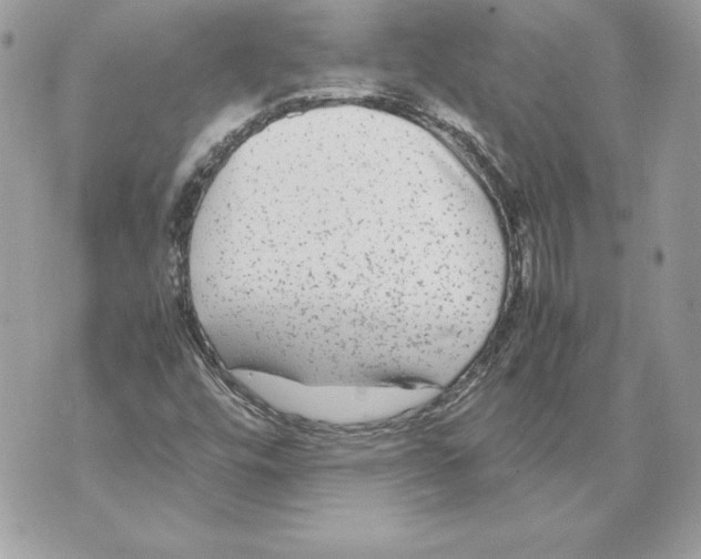 X0000070391448200607072207