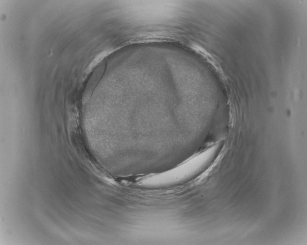 X0000070391449200607072207