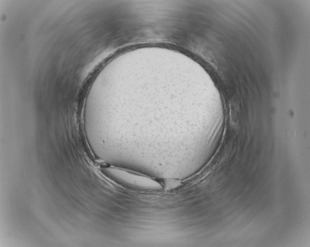 X0000070391452200607072207