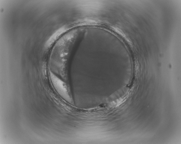 X0000070391455200607072207