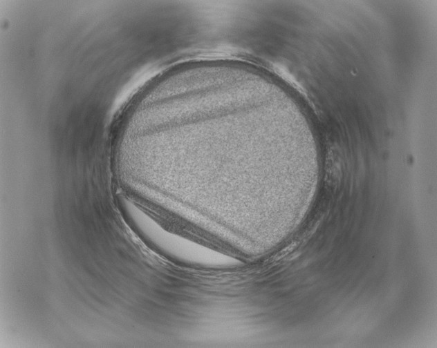 X0000070391456200607072207