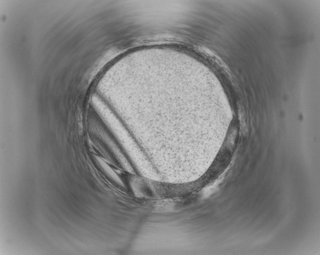 X0000070391457200607072207