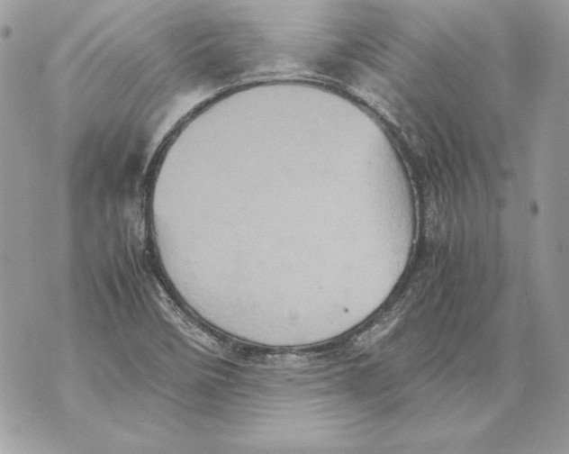 X0000070391458200607072207