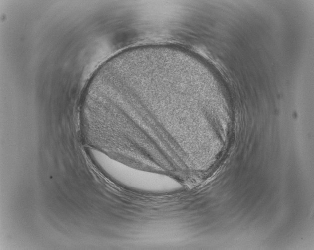 X0000070391459200607072207