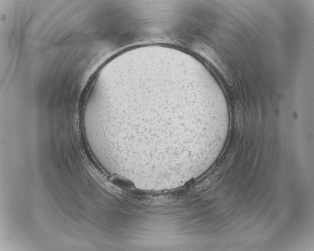 X0000070391460200607072207