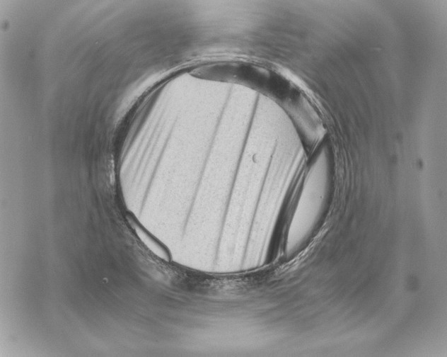 X0000070391461200607072207