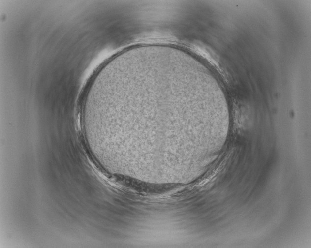 X0000070391462200607072207