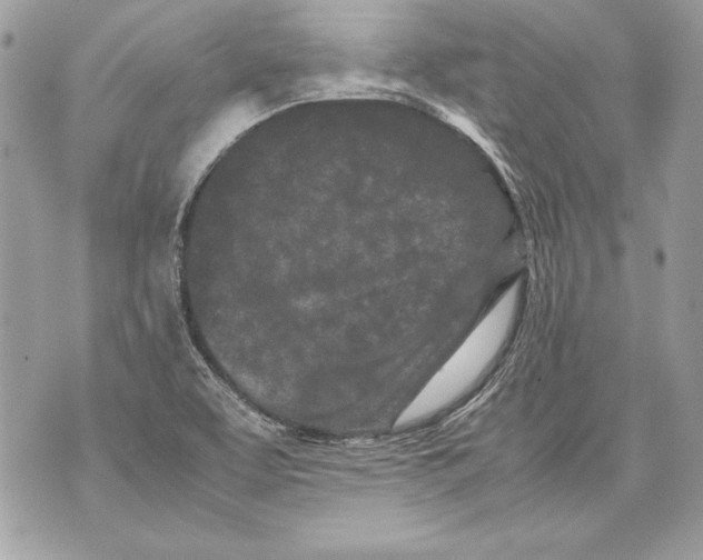 X0000070391463200607072207