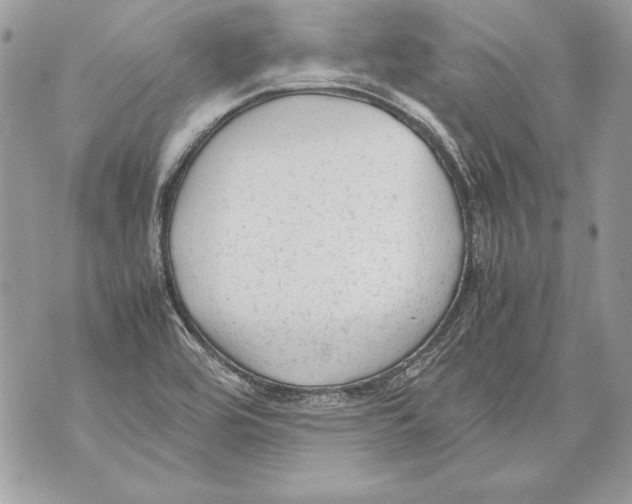 X0000070391464200607072207