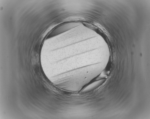 X0000070391465200607072207