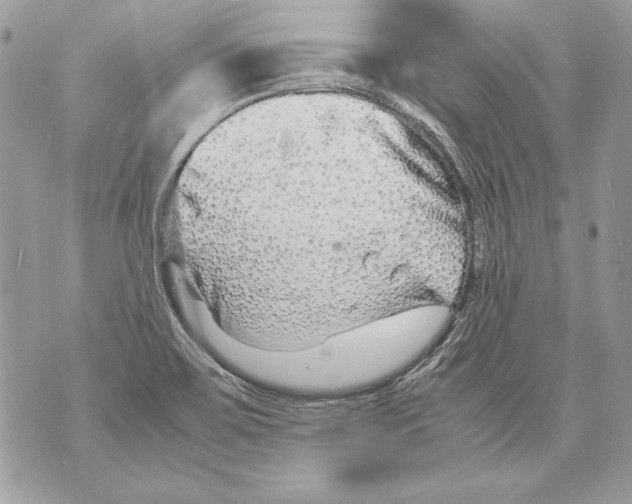 X0000070391467200607072207