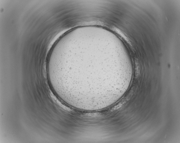 X0000070391468200607072207