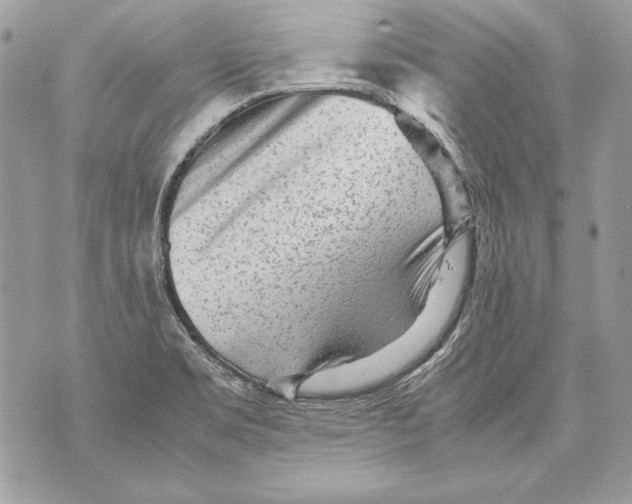 X0000070391469200607072207