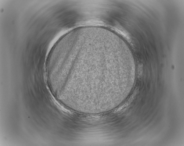 X0000070391470200607072207