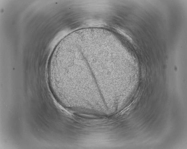 X0000070391471200607072207