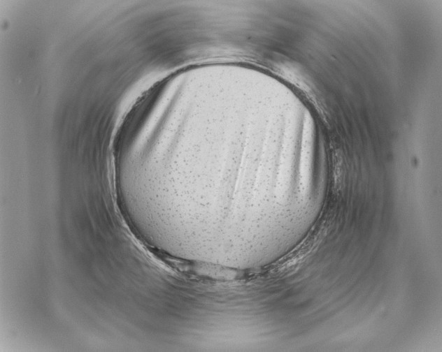 X0000070391472200607072207