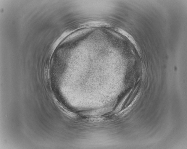 X0000070391473200607072207