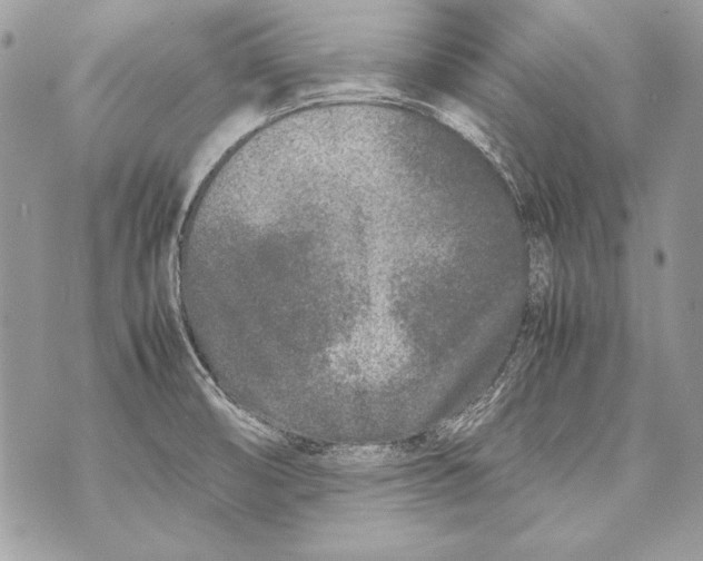 X0000070391474200607072207