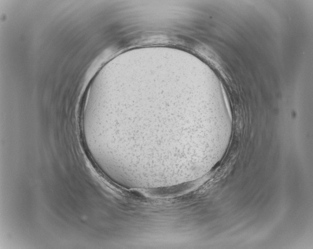 X0000070391475200607072207