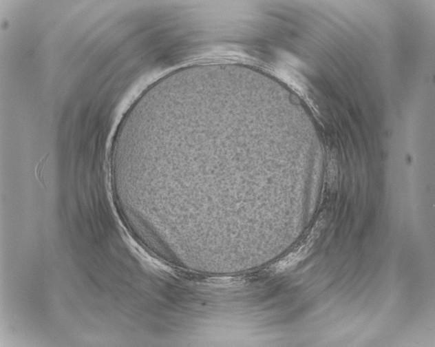 X0000070391478200607072207