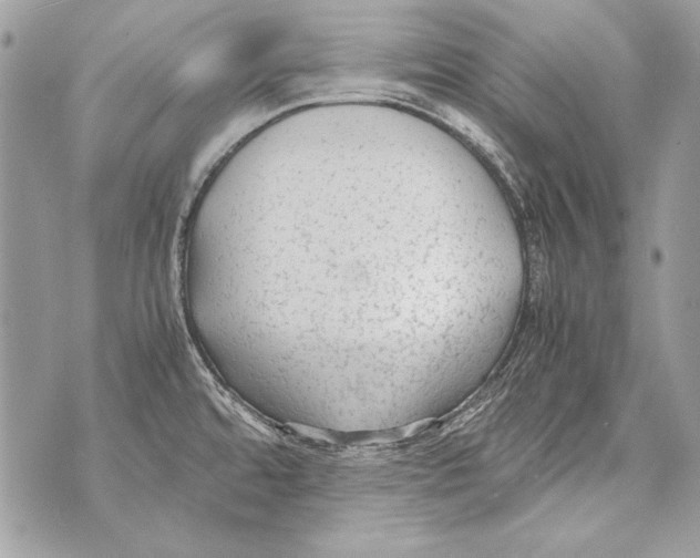 X0000070391480200607072206