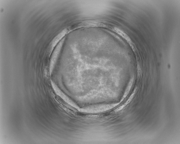 X0000070391481200607072206