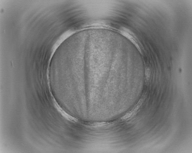 X0000070391482200607072206