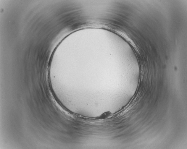 X0000070391484200607072206