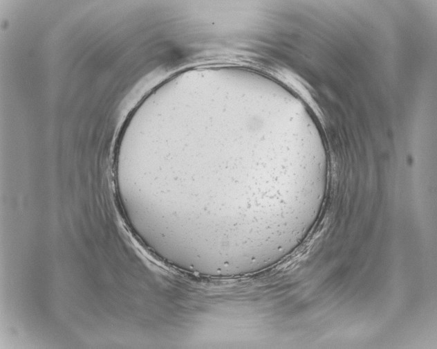 X0000070391485200607072206