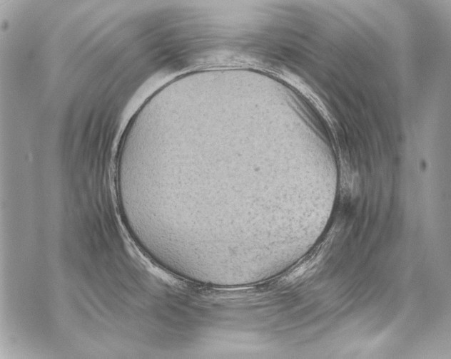 X0000070391486200607072206