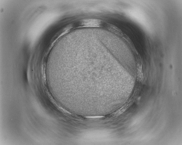 X0000070391487200607072206