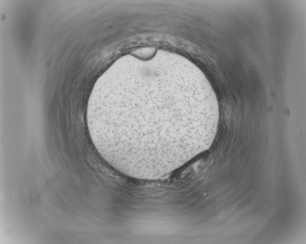 X0000070391489200607072206