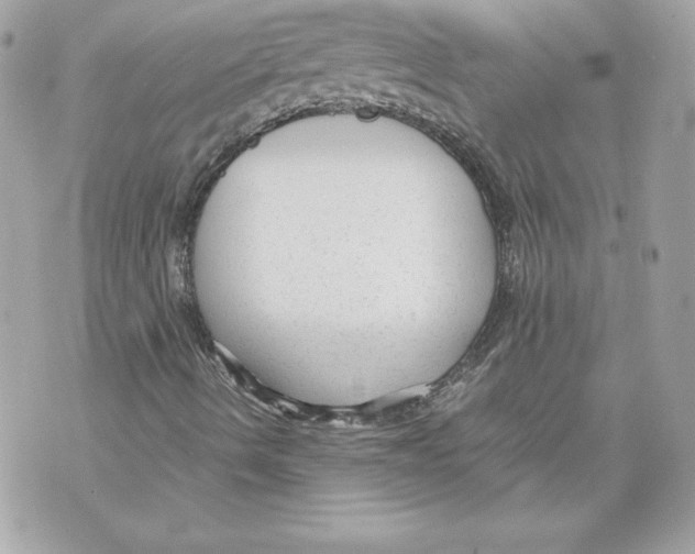 X0000070391490200607072206