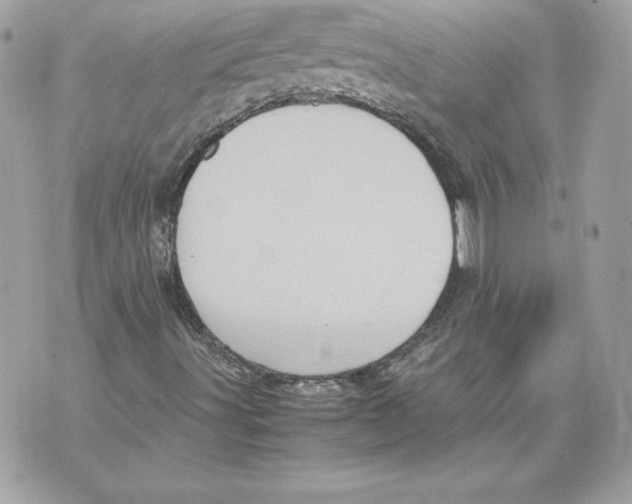 X0000070391491200607072206