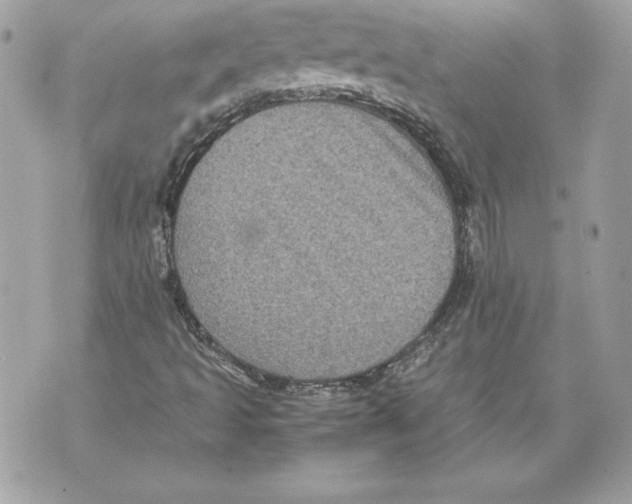 X0000070391493200607072206