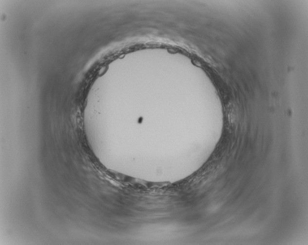 X0000070391495200607072206