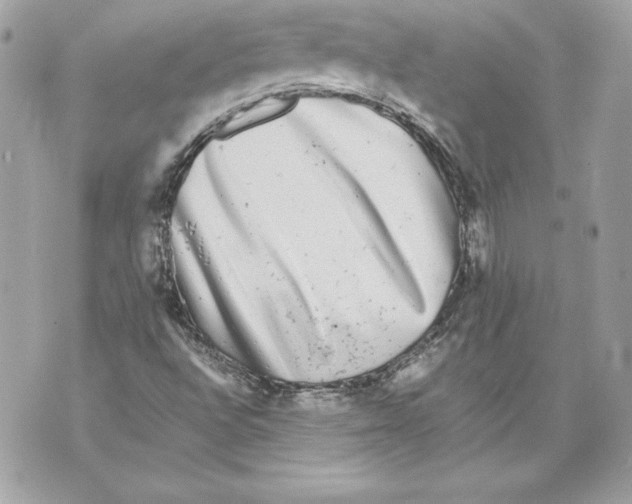 X0000070391496200607072206