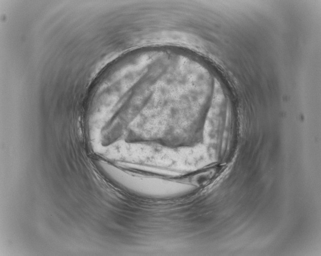 X0000070391497200607072206