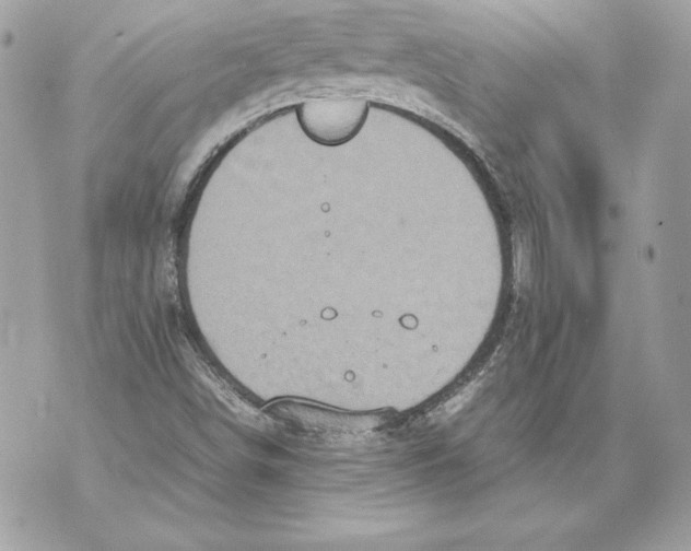 X0000070391498200607072206