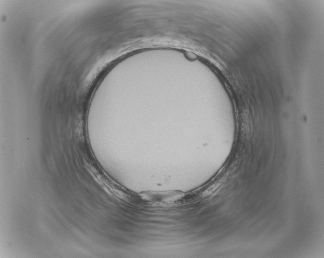 X0000070391499200607072206