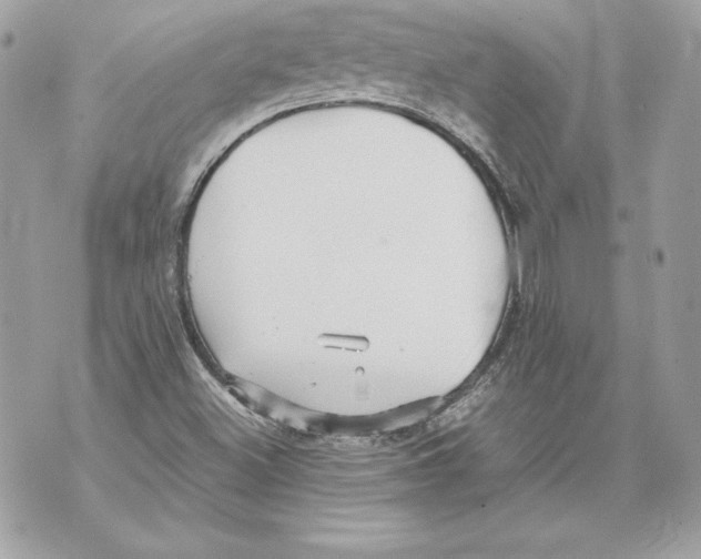 X0000070391500200607072206