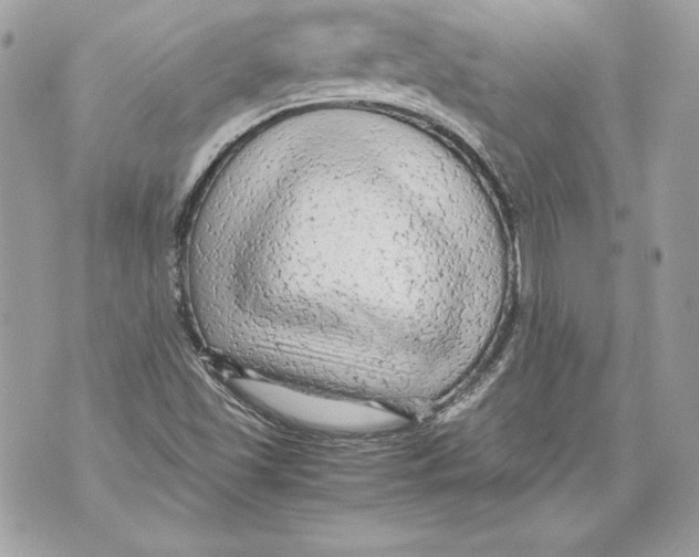 X0000070391501200607072206