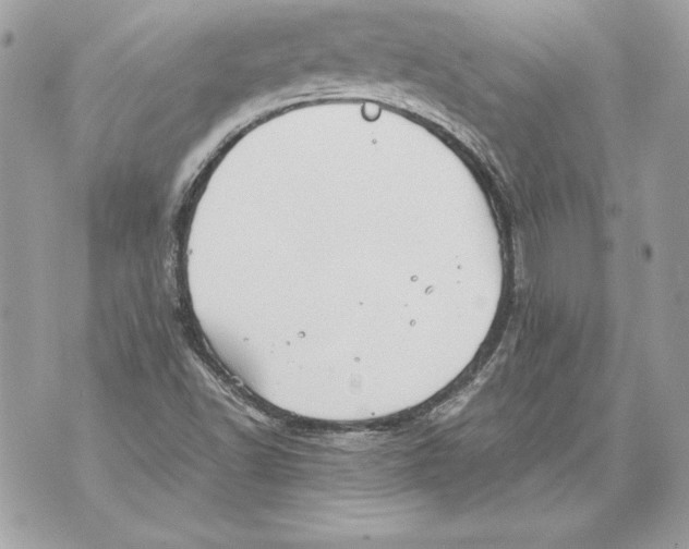 X0000070391502200607072206