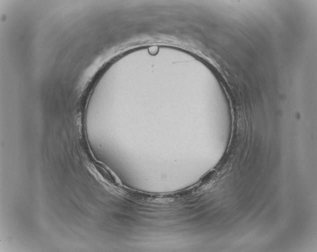 X0000070391503200607072206