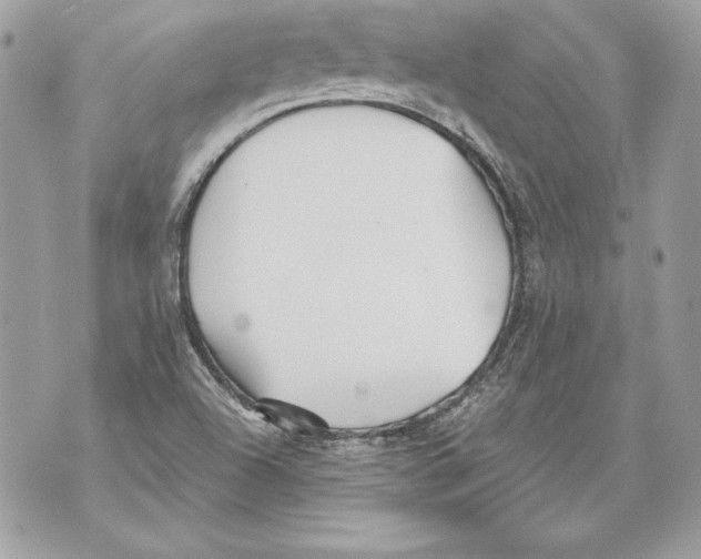 X0000070391504200607072206